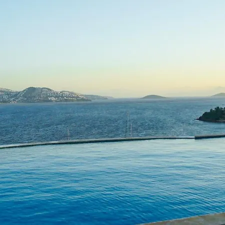 Elegant Villas 1-1