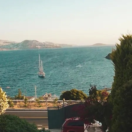 Elegant Villas 1-1 Bodrum