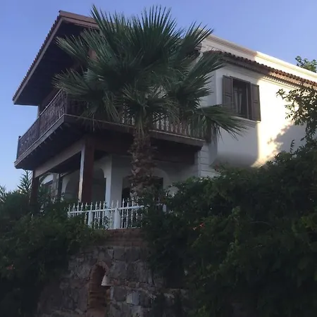 Elegant Villas 1-1